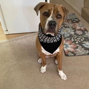 Meet your Posher, Keri